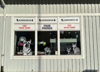 gallery/1764339018_img-2948