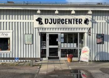 gallery/1764339018_img-2949